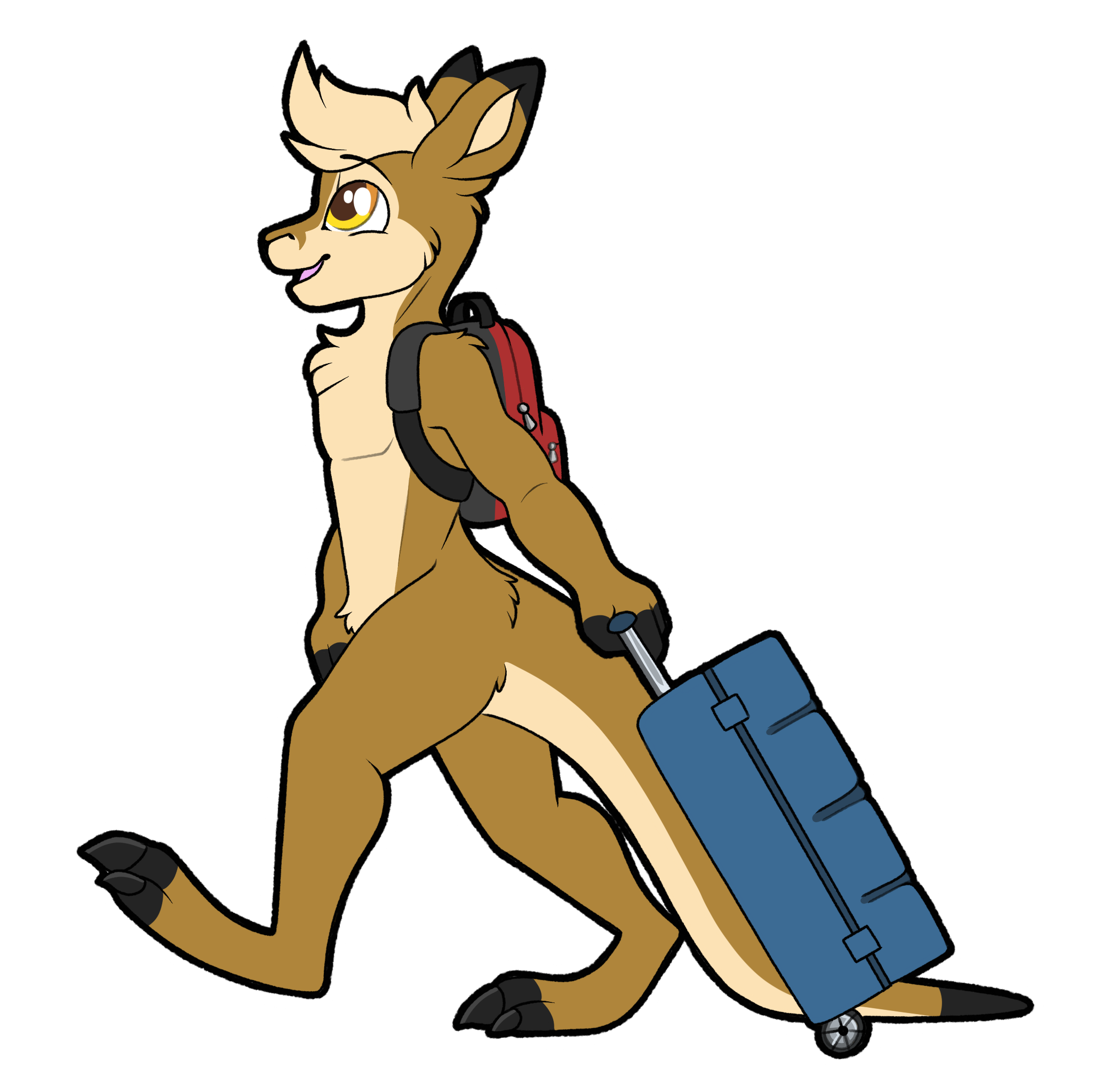 DuRoo with luggage